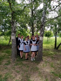 IMG 20220606 110826 395